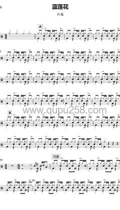 许巍《蓝莲花》打击乐谱(C调,中等难度,演奏版)