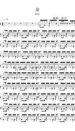赵雷《朵》打击乐谱(C调,高难度,演奏版)