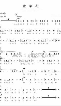 张小斐《萱草花》人声谱(D调,中等难度,演奏版)