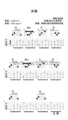 张雨生《大海》吉他谱(降B调,简单,弹唱版)