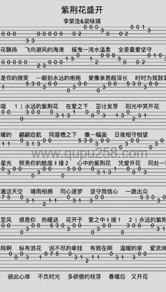 李荣浩,梁咏琪《紫荆花盛开》吉他谱(B调,简单,弹唱版)