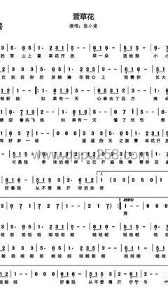 张小斐《萱草花》人声谱(降B调,弹唱版)
