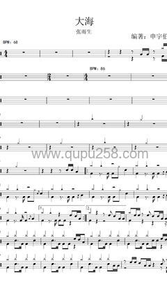 张雨生《大海(SACD)》打击乐谱(C调,高难度,演奏版)